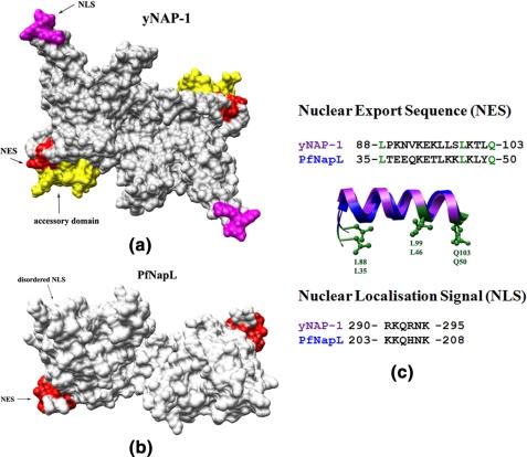 https://cdn.ncbi.nlm.nih.gov/pmc/blobs/08c2/2665062/15f578eef8d5/zbc0170971220003.jpg