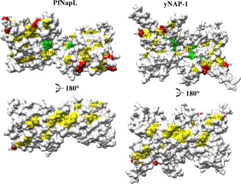 https://cdn.ncbi.nlm.nih.gov/pmc/blobs/08c2/2665062/b855e102c581/zbc0170971220007.jpg