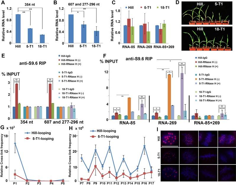 https://cdn.ncbi.nlm.nih.gov/pmc/blobs/08c3/7010299/4d00f6646594/pbio.3000582.g004.jpg