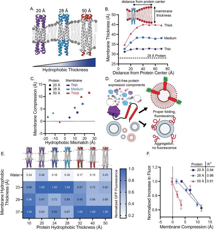 https://cdn.ncbi.nlm.nih.gov/pmc/blobs/08c4/11009411/11d42a07bc00/41467_2024_47163_Fig1_HTML.jpg
