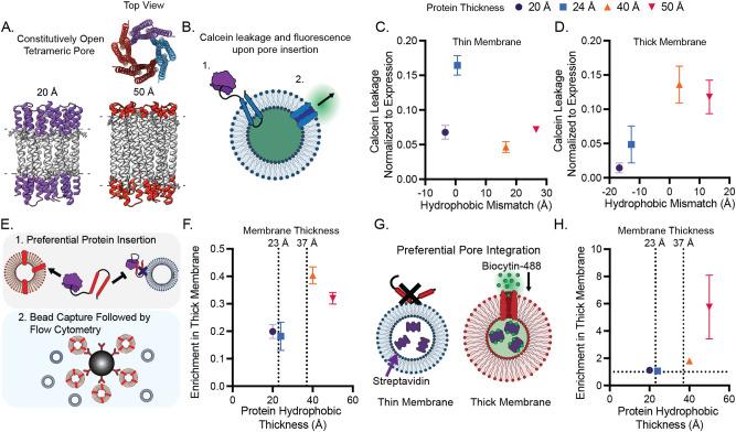 https://cdn.ncbi.nlm.nih.gov/pmc/blobs/08c4/11009411/20586c7527f8/41467_2024_47163_Fig2_HTML.jpg