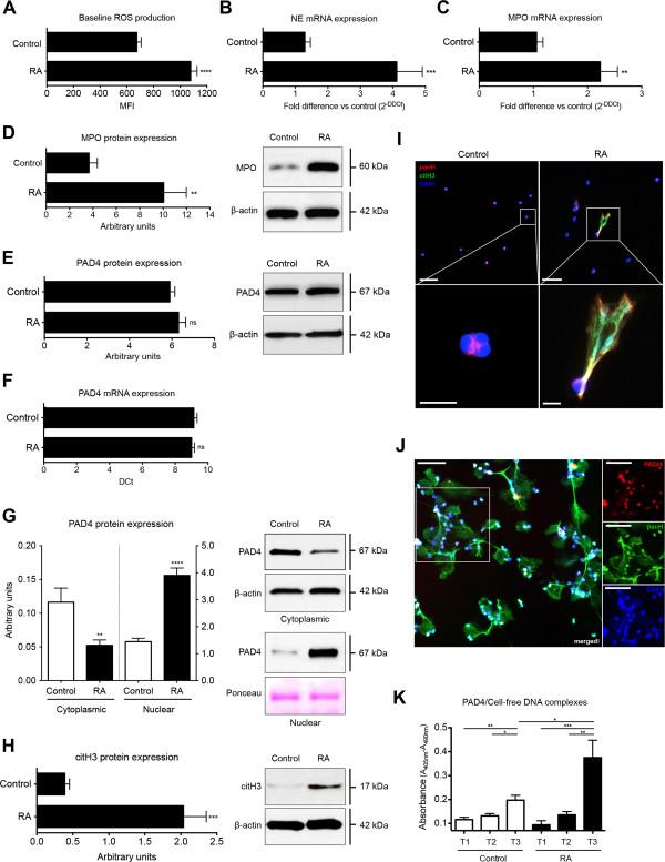 https://cdn.ncbi.nlm.nih.gov/pmc/blobs/08c4/4229860/0c24b095be2c/ar4579-2.jpg