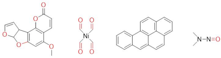 https://cdn.ncbi.nlm.nih.gov/pmc/blobs/08c5/11595001/758753e1a1ea/ijms-25-12441-g001.jpg
