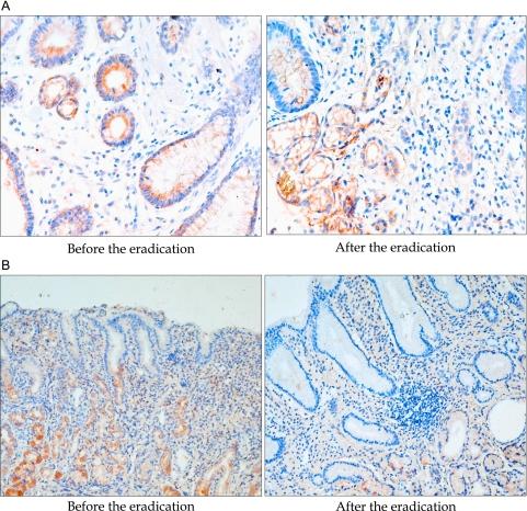 https://cdn.ncbi.nlm.nih.gov/pmc/blobs/08c6/2872224/f96561c03de0/jcbn10-03f04.jpg