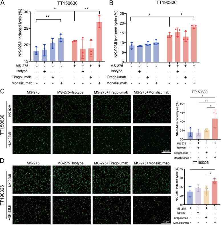 https://cdn.ncbi.nlm.nih.gov/pmc/blobs/08c7/12039099/326dd91e37de/13046_2025_3390_Fig4_HTML.jpg