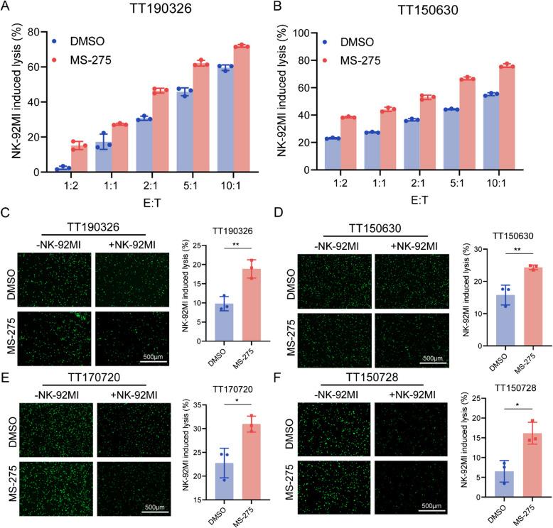 https://cdn.ncbi.nlm.nih.gov/pmc/blobs/08c7/12039099/46cb0a794637/13046_2025_3390_Fig3_HTML.jpg