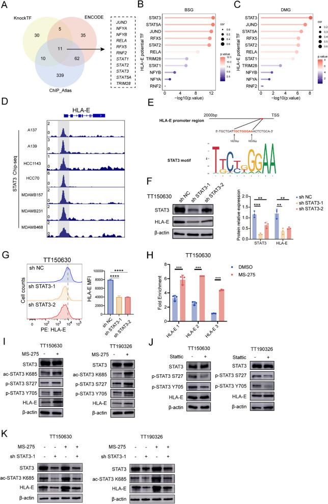 https://cdn.ncbi.nlm.nih.gov/pmc/blobs/08c7/12039099/8fc3d7c2e85c/13046_2025_3390_Fig7_HTML.jpg