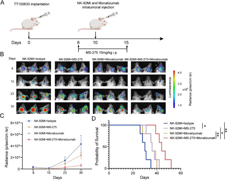 https://cdn.ncbi.nlm.nih.gov/pmc/blobs/08c7/12039099/a8cdbba8a44f/13046_2025_3390_Fig5_HTML.jpg