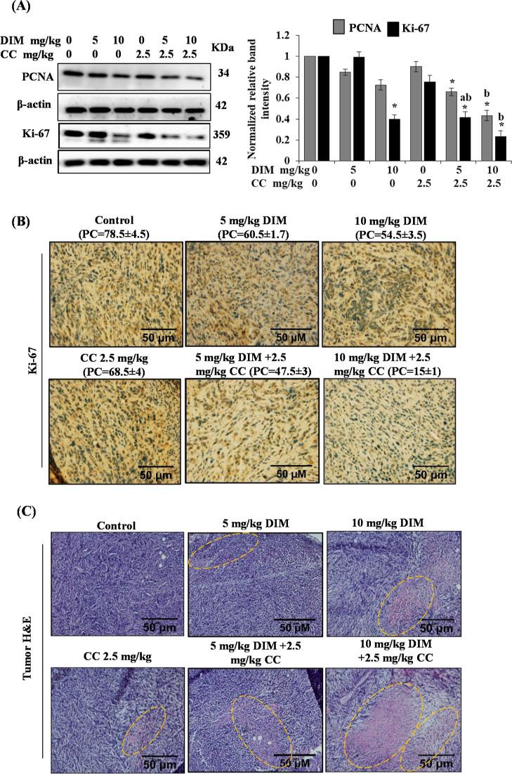 https://cdn.ncbi.nlm.nih.gov/pmc/blobs/08c8/9713897/33f2b022d3af/ao2c05832_0005.jpg