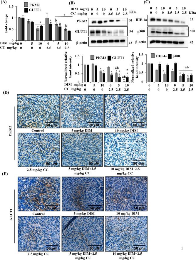 https://cdn.ncbi.nlm.nih.gov/pmc/blobs/08c8/9713897/ae7b799056af/ao2c05832_0007.jpg