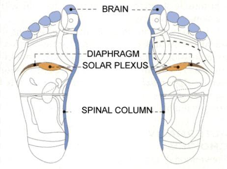 https://cdn.ncbi.nlm.nih.gov/pmc/blobs/08c9/3371987/140119519215/ircmj-13-475-g001.jpg