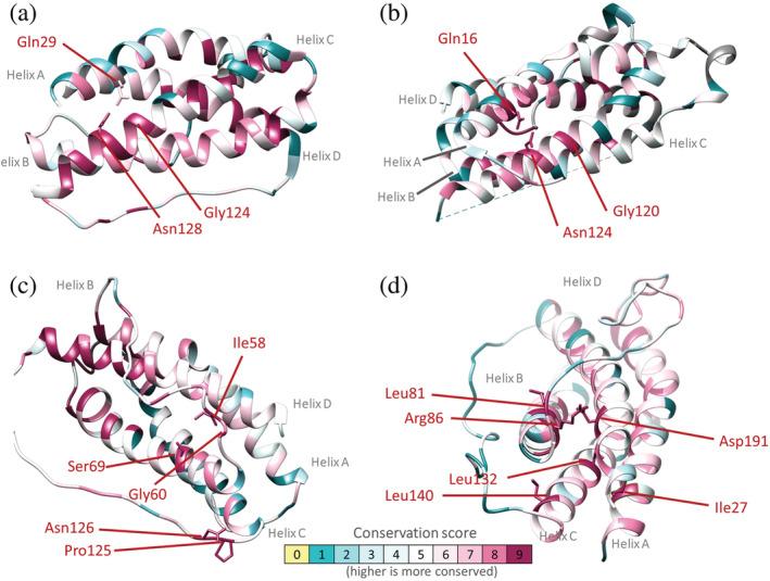 https://cdn.ncbi.nlm.nih.gov/pmc/blobs/08cd/9601804/61d17368c21c/PRO-31-e4469-g006.jpg