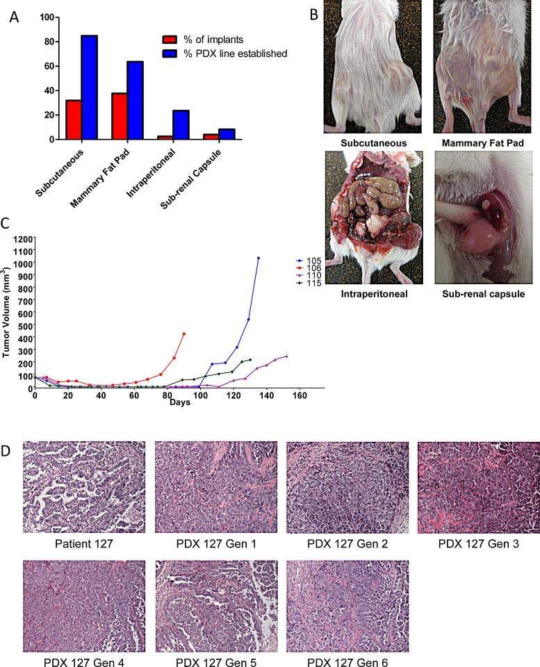 https://cdn.ncbi.nlm.nih.gov/pmc/blobs/08ce/4226719/a9b4b1fc8142/oncotarget-05-8750-g001.jpg