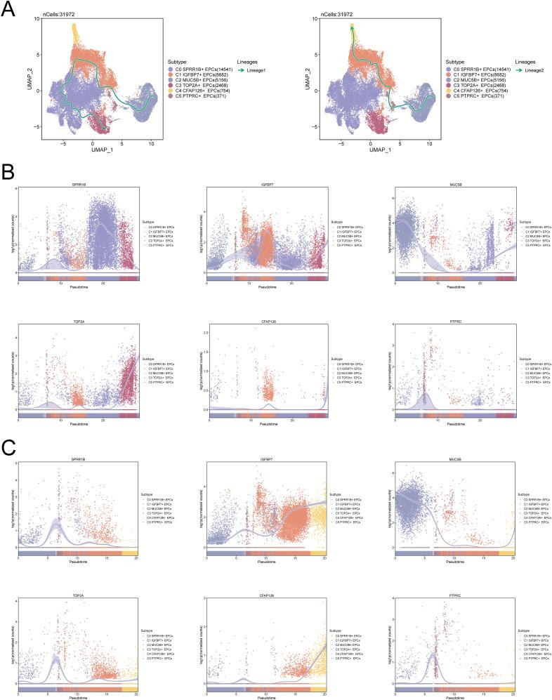 https://cdn.ncbi.nlm.nih.gov/pmc/blobs/08d0/12206793/1f89fe3e6a6d/fonc-15-1604960-g003.jpg