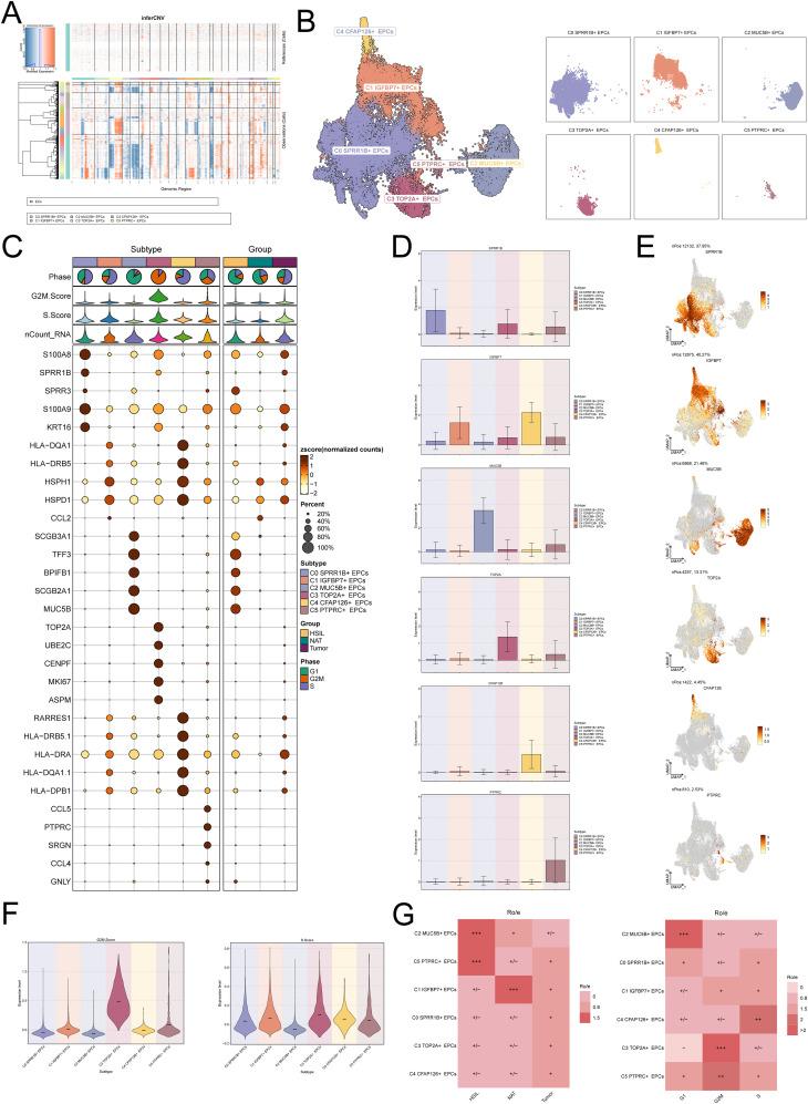 https://cdn.ncbi.nlm.nih.gov/pmc/blobs/08d0/12206793/60e9cfb673e8/fonc-15-1604960-g002.jpg