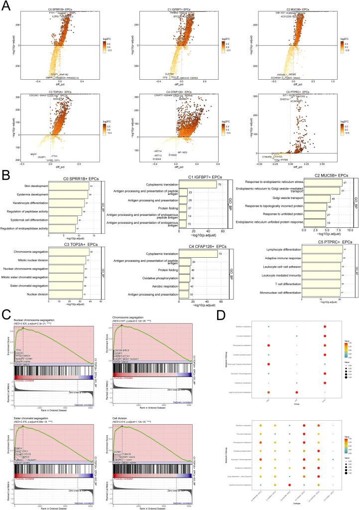 https://cdn.ncbi.nlm.nih.gov/pmc/blobs/08d0/12206793/d8593b026e97/fonc-15-1604960-g004.jpg