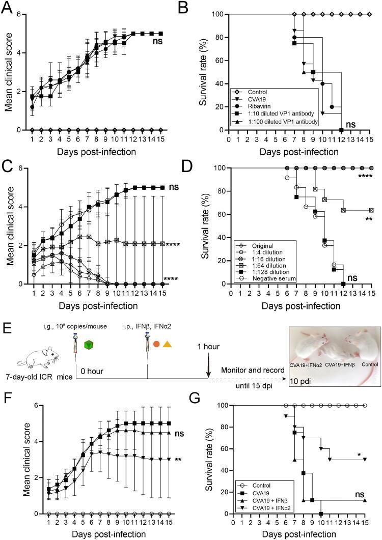 https://cdn.ncbi.nlm.nih.gov/pmc/blobs/08d0/9937014/90c8242e1a59/TEMI_A_2177084_F0008_OC.jpg