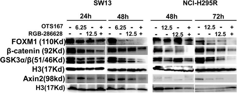 https://cdn.ncbi.nlm.nih.gov/pmc/blobs/08d1/9502945/58910afb61e5/13046_2022_2464_Fig6_HTML.jpg