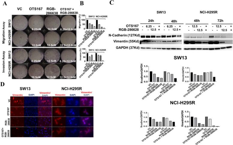 https://cdn.ncbi.nlm.nih.gov/pmc/blobs/08d1/9502945/63361634aee4/13046_2022_2464_Fig5_HTML.jpg