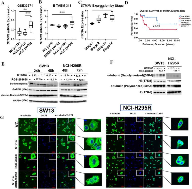 https://cdn.ncbi.nlm.nih.gov/pmc/blobs/08d1/9502945/89548ab66418/13046_2022_2464_Fig7_HTML.jpg