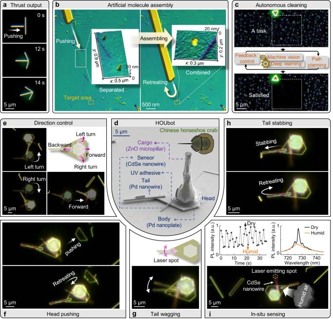 https://cdn.ncbi.nlm.nih.gov/pmc/blobs/08d3/10674020/ceec3fa9183a/41467_2023_43433_Fig4_HTML.jpg