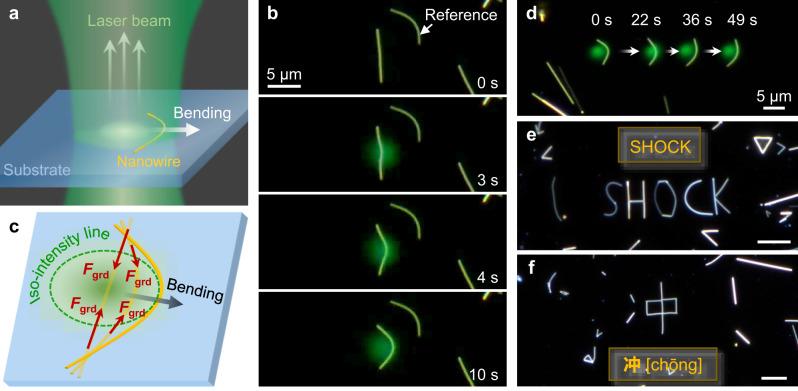 https://cdn.ncbi.nlm.nih.gov/pmc/blobs/08d3/10674020/ed72347e06e4/41467_2023_43433_Fig3_HTML.jpg