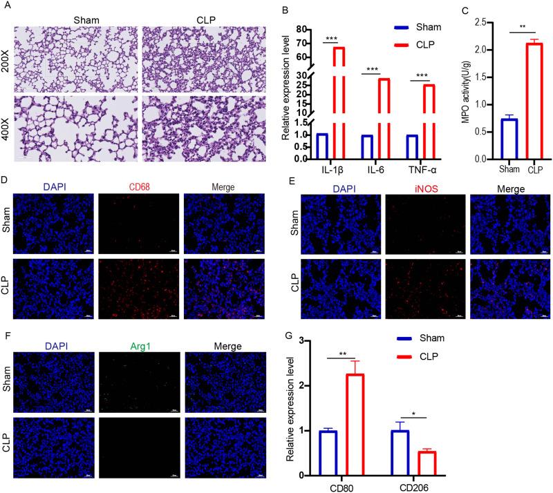 https://cdn.ncbi.nlm.nih.gov/pmc/blobs/08d3/12009125/c1e099774071/IJN-20-4831-g0001.jpg