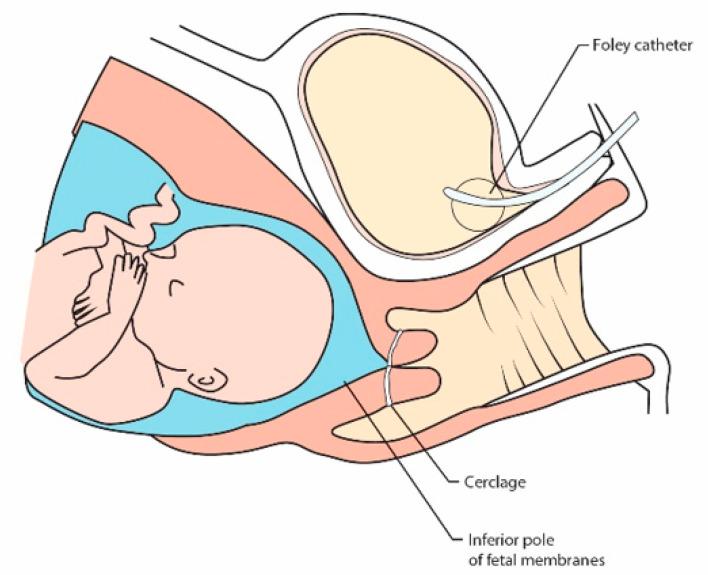 https://cdn.ncbi.nlm.nih.gov/pmc/blobs/08d3/8003203/3b3ddcef9b14/jcm-10-01270-g002.jpg