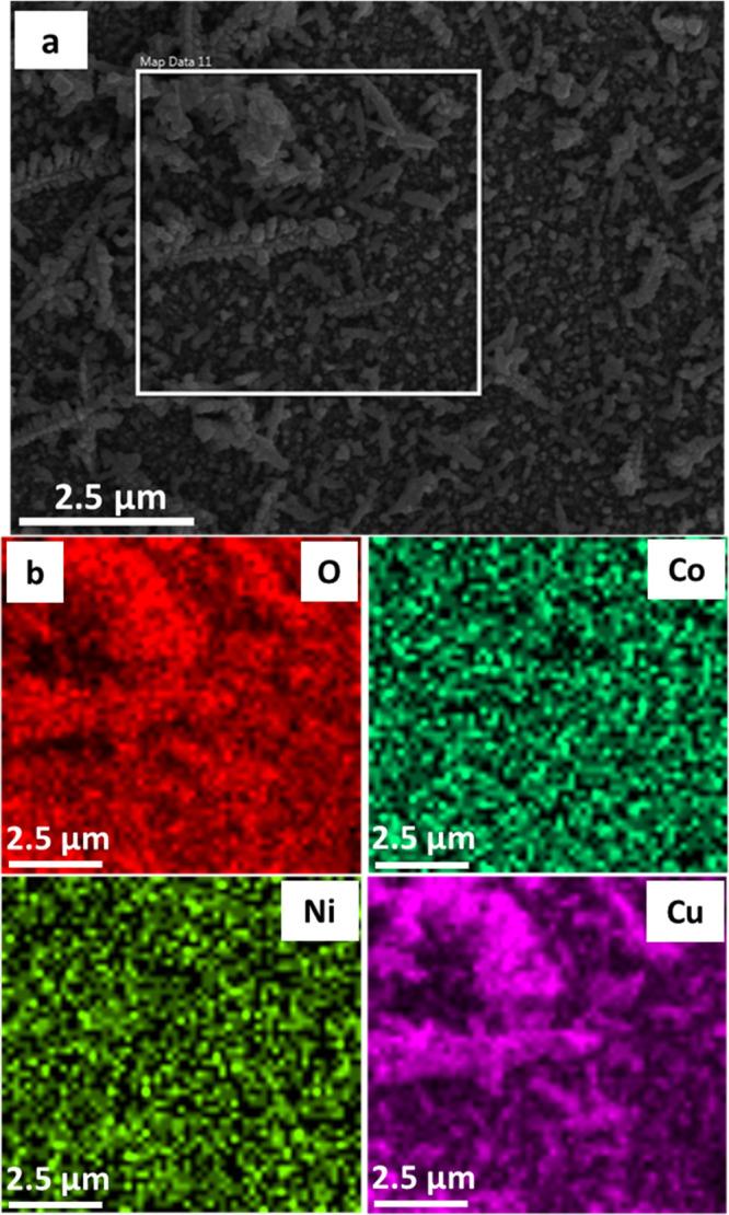 https://cdn.ncbi.nlm.nih.gov/pmc/blobs/08d3/8340103/ad23626ffa6b/ao1c01251_0004.jpg