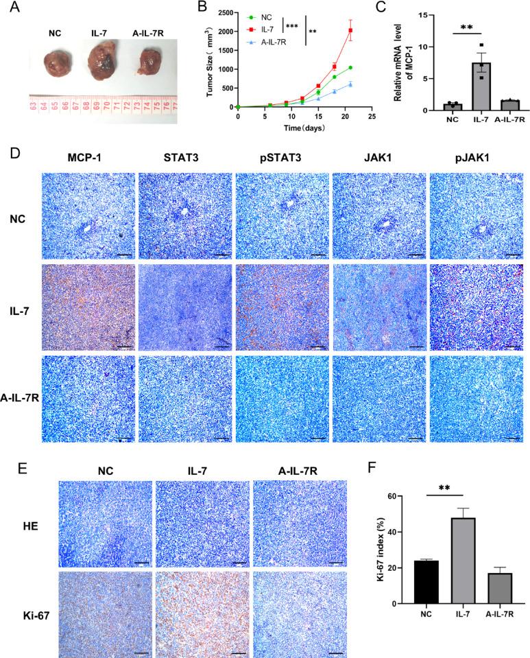 https://cdn.ncbi.nlm.nih.gov/pmc/blobs/08d5/12081855/24f0df32c28b/41598_2025_1868_Fig5_HTML.jpg