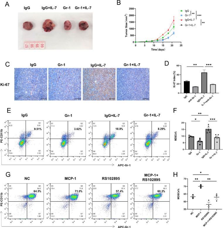 https://cdn.ncbi.nlm.nih.gov/pmc/blobs/08d5/12081855/7f88ba490337/41598_2025_1868_Fig7_HTML.jpg