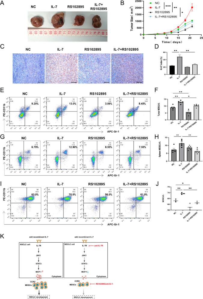 https://cdn.ncbi.nlm.nih.gov/pmc/blobs/08d5/12081855/9923d2e1d982/41598_2025_1868_Fig8_HTML.jpg