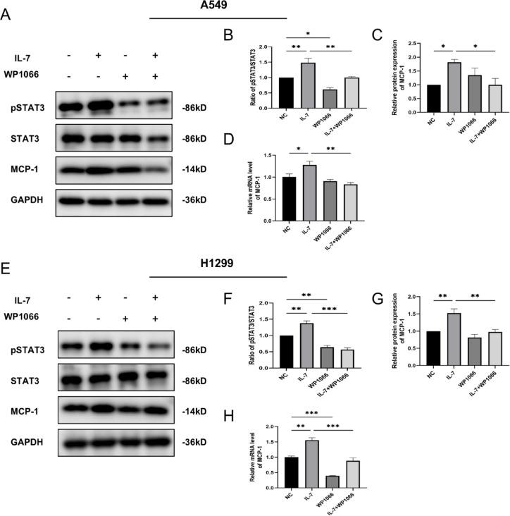 https://cdn.ncbi.nlm.nih.gov/pmc/blobs/08d5/12081855/dfc65a396ed9/41598_2025_1868_Fig4_HTML.jpg