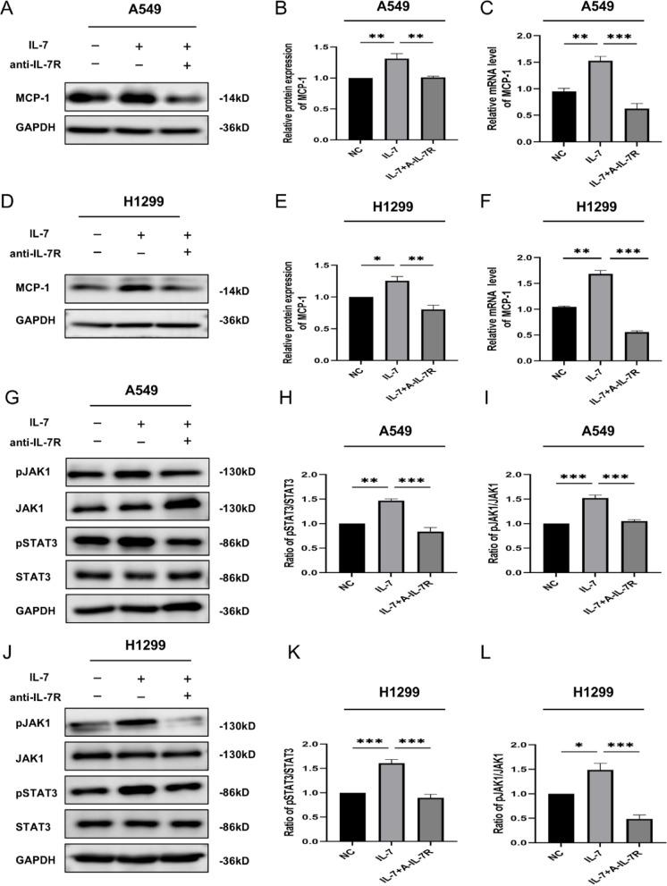 https://cdn.ncbi.nlm.nih.gov/pmc/blobs/08d5/12081855/e59b46828b5d/41598_2025_1868_Fig2_HTML.jpg