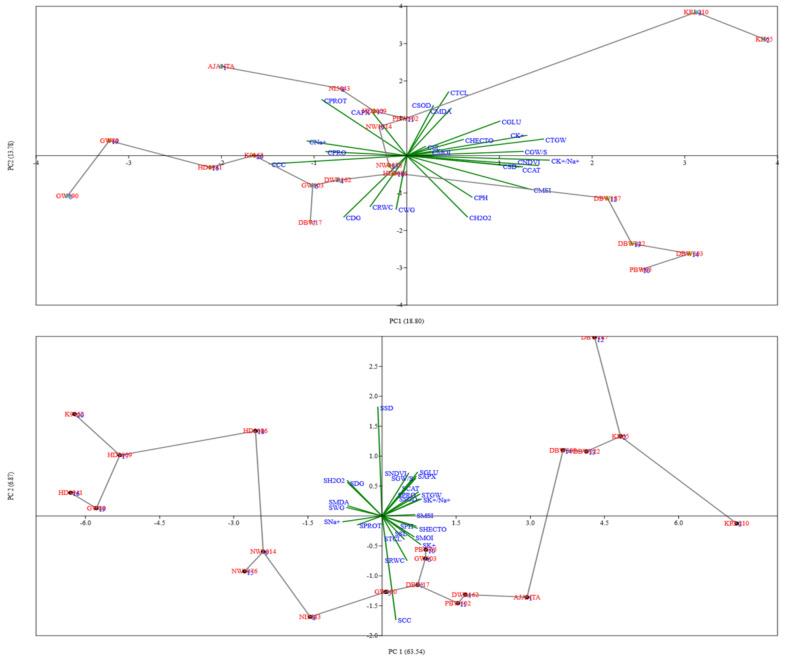 https://cdn.ncbi.nlm.nih.gov/pmc/blobs/08d6/11414152/e13569d0da98/12870_2024_5508_Fig5_HTML.jpg
