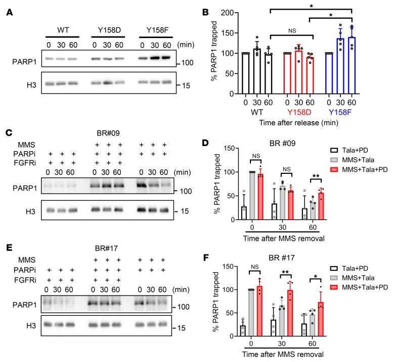 https://cdn.ncbi.nlm.nih.gov/pmc/blobs/08d7/12259256/7b95662640d8/jci-135-173757-g127.jpg