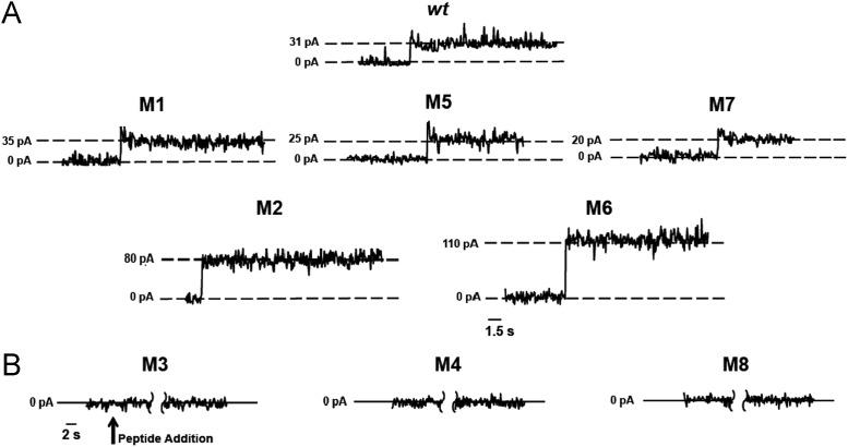 https://cdn.ncbi.nlm.nih.gov/pmc/blobs/08d7/7111995/1254af1e2433/gr2_lrg.jpg