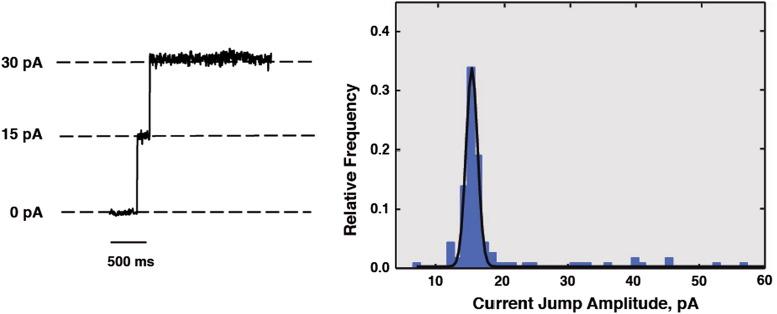 https://cdn.ncbi.nlm.nih.gov/pmc/blobs/08d7/7111995/c5e226a1bb0f/gr5_lrg.jpg