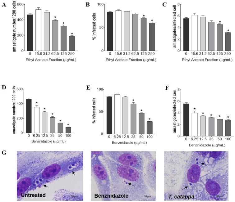 https://cdn.ncbi.nlm.nih.gov/pmc/blobs/08da/10376266/a3648c85ec9e/biology-12-00895-g003.jpg