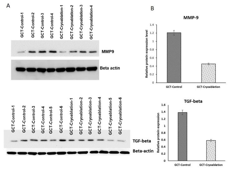 https://cdn.ncbi.nlm.nih.gov/pmc/blobs/08db/7696300/b7d663e5cb7e/molecules-25-05355-g007.jpg
