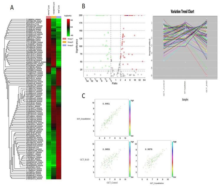 https://cdn.ncbi.nlm.nih.gov/pmc/blobs/08db/7696300/fca9c55a4fbb/molecules-25-05355-g001.jpg