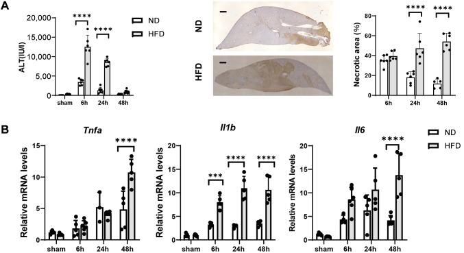 https://cdn.ncbi.nlm.nih.gov/pmc/blobs/08dc/12042010/6df2cb8270cc/in_vivo-39-1362-g0001.jpg
