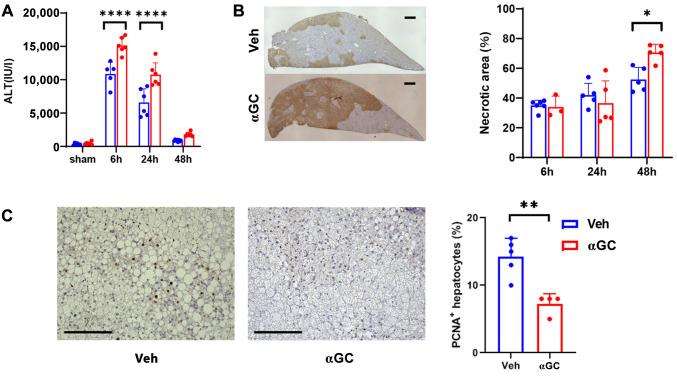 https://cdn.ncbi.nlm.nih.gov/pmc/blobs/08dc/12042010/a6af18505982/in_vivo-39-1364-g0001.jpg