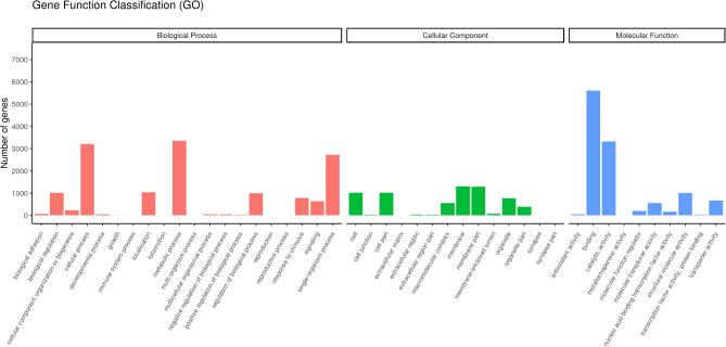 https://cdn.ncbi.nlm.nih.gov/pmc/blobs/08dd/12008197/00db05771d85/41598_2025_96168_Fig4_HTML.jpg