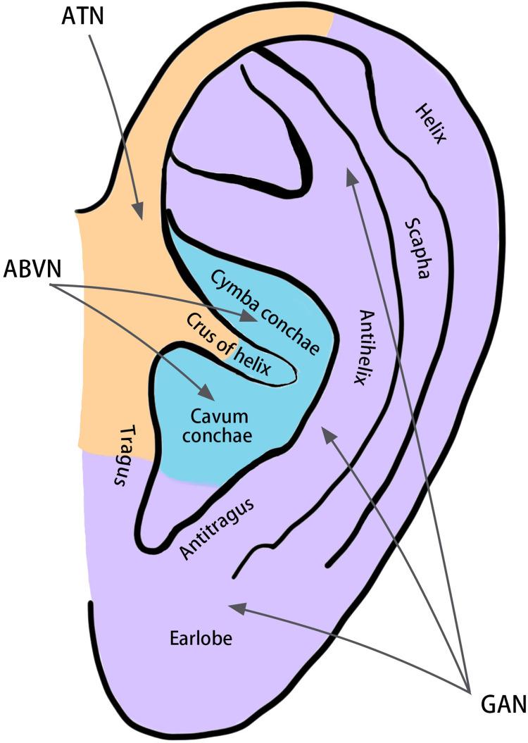https://cdn.ncbi.nlm.nih.gov/pmc/blobs/08dd/12174914/9a85caabd0e9/NSS-17-1327-g0001.jpg