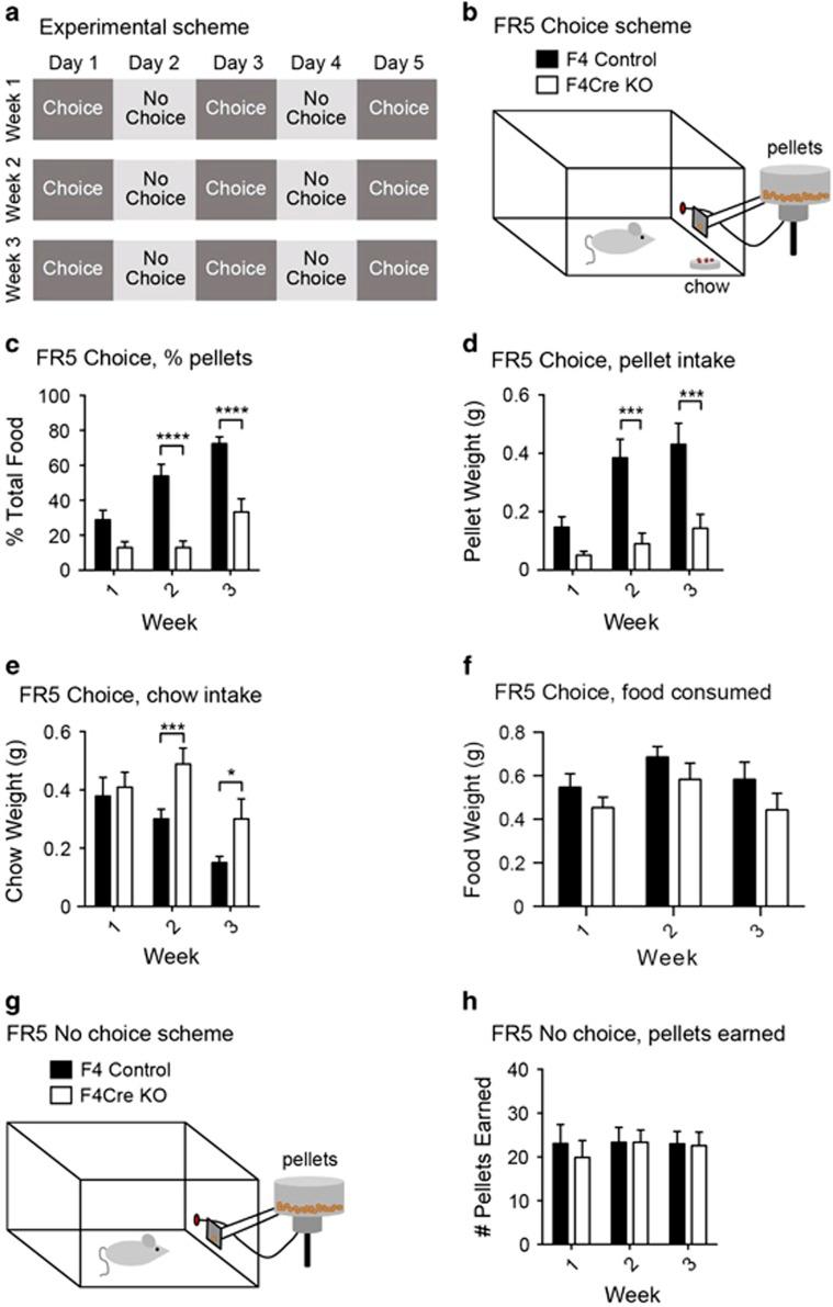 https://cdn.ncbi.nlm.nih.gov/pmc/blobs/08dd/5984100/71016cd495e5/mp20177f4.jpg