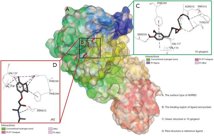 https://cdn.ncbi.nlm.nih.gov/pmc/blobs/08dd/8798581/a4d835cc867c/tcr-10-11-4680-f5.jpg