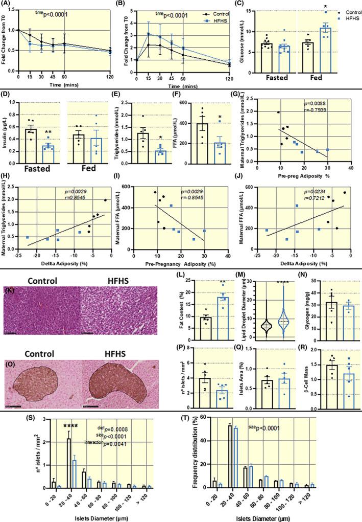 https://cdn.ncbi.nlm.nih.gov/pmc/blobs/08de/9787084/e278217372b8/APHA-236-e13861-g004.jpg