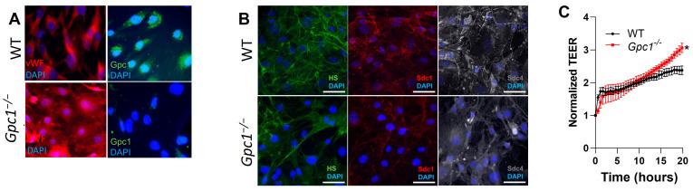 https://cdn.ncbi.nlm.nih.gov/pmc/blobs/08e1/10573009/cc191c0e3b7a/ijms-24-14568-g004.jpg