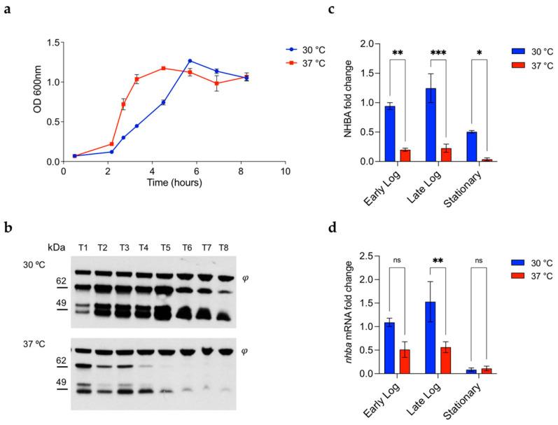 https://cdn.ncbi.nlm.nih.gov/pmc/blobs/08e1/9031163/c0c7b7baf50f/microorganisms-10-00834-g002.jpg